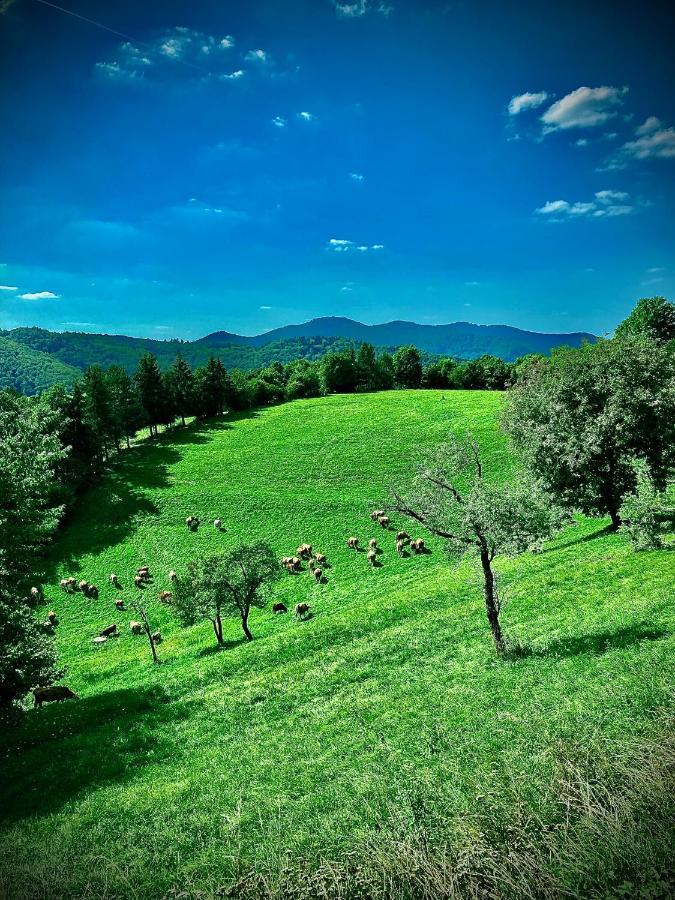 Kopanicky Dvor Konuk evi Hodruša Dış mekan fotoğraf