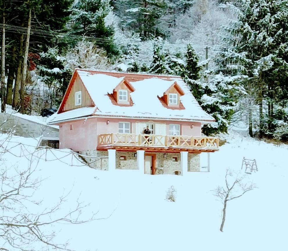 Kopanicky Dvor Konuk evi Hodruša Dış mekan fotoğraf