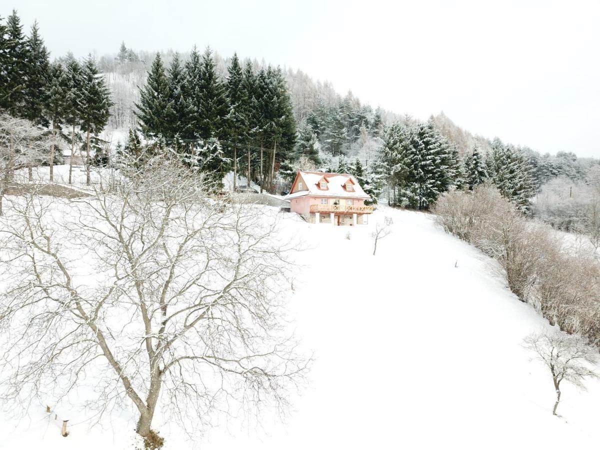 Kopanicky Dvor Konuk evi Hodruša Dış mekan fotoğraf