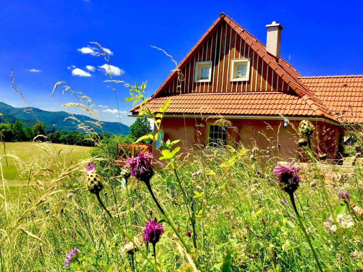 Kopanicky Dvor Konuk evi Hodruša Dış mekan fotoğraf