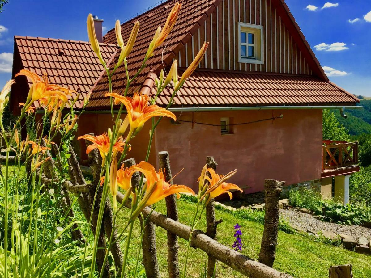Kopanicky Dvor Konuk evi Hodruša Dış mekan fotoğraf